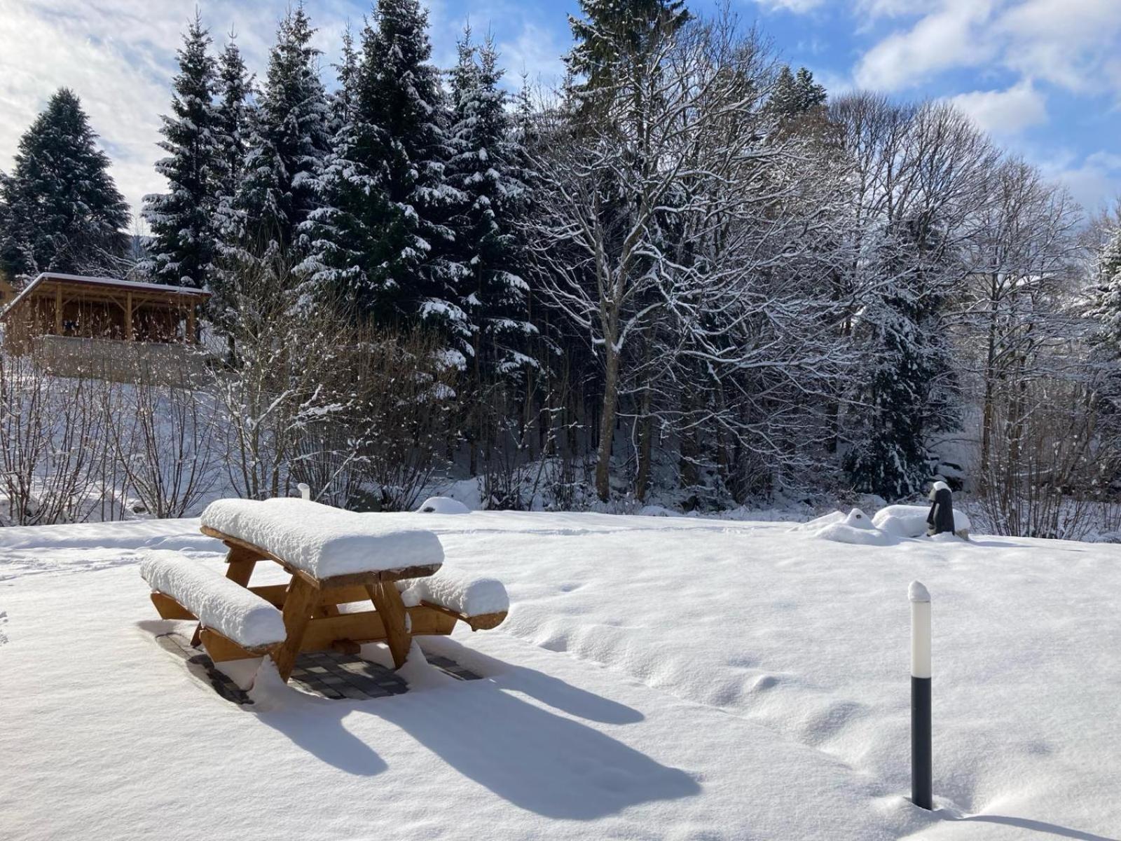 La Cabane Des Ecureuils Xonrupt-Longemer Bagian luar foto